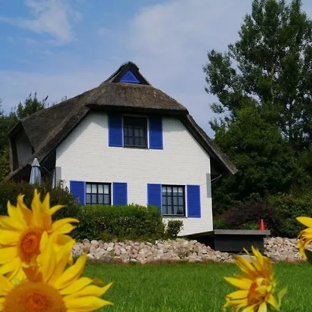 Dom wakacyjny Haus Zauberblau Poseritz